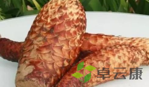 图片28
