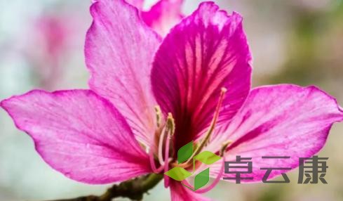 图片36