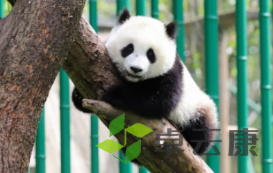 QQ截图20230314141656