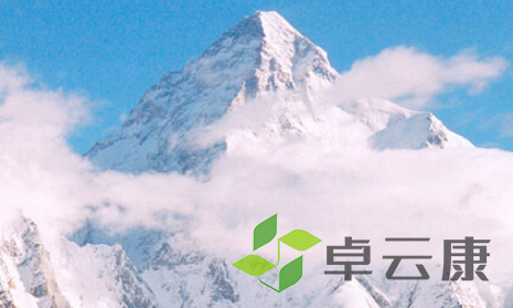QQ截图20230314150525