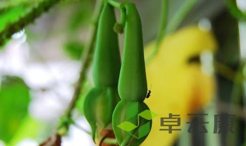图片92