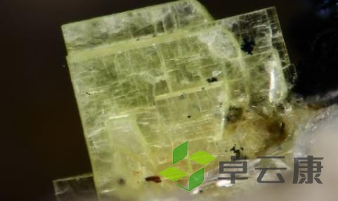 图片93