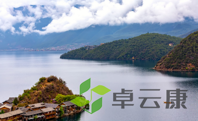 QQ截图20230315104617