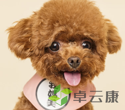 QQ截图20230315104715
