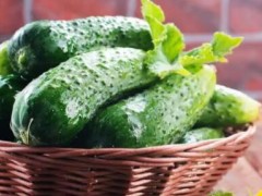 秋季吃什么减肥 推荐秋季减肥食谱6种减肥蔬菜