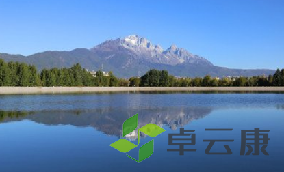 QQ截图20230316133347