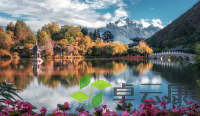 QQ截图20230316134213