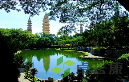 QQ截图20230317140118