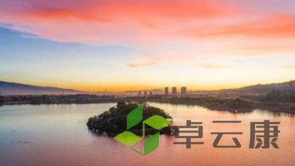 QQ截图20230317143923