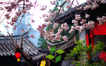 QQ截图20230317154403