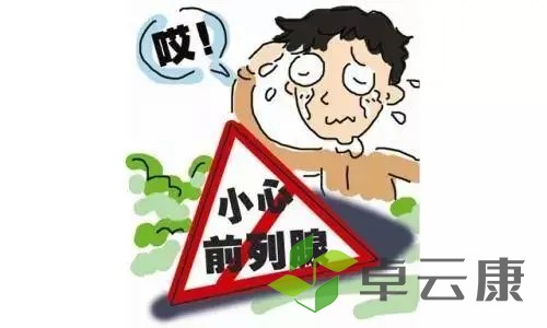 u=3204023407,2757204235&fm=253&fmt=auto&app=138&f=JPEG.webp