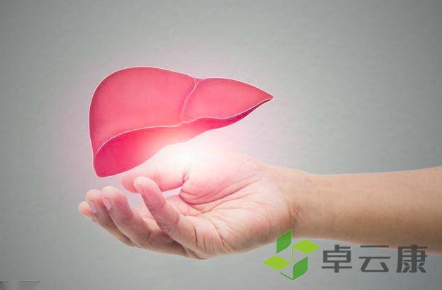截屏2023-03-19上午8.18.17