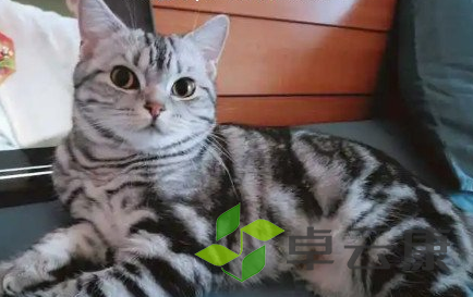 QQ截图20230319104540
