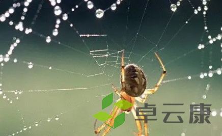 QQ截图20230319142711