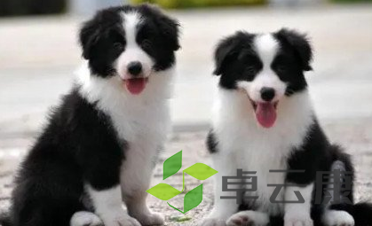 QQ截图20230320140310