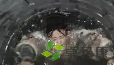 QQ截图20230320145056