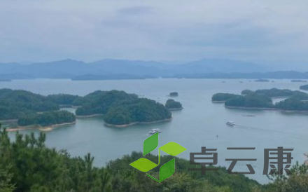 QQ截图20230322103005