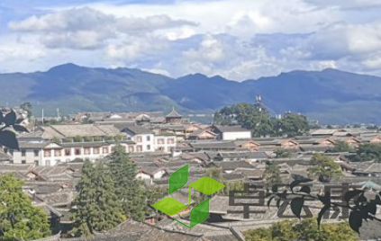 QQ截图20230322112759
