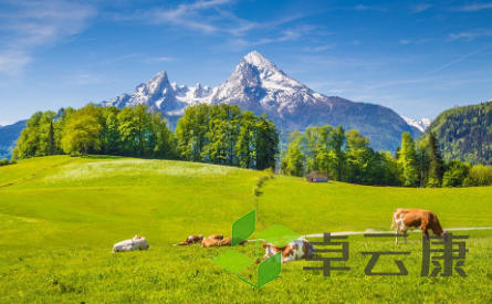 QQ截图20230322145243
