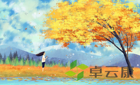 QQ截图20230322152646