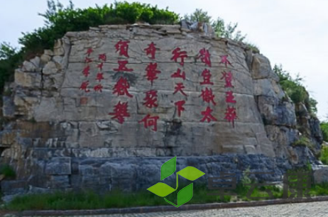 QQ截图20230323112342