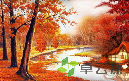 QQ截图20230325150059