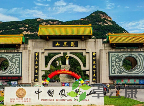 QQ截图20230325150154
