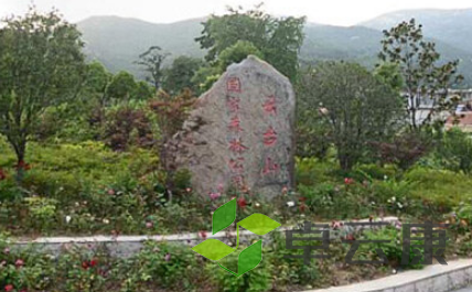 QQ截图20230325152232