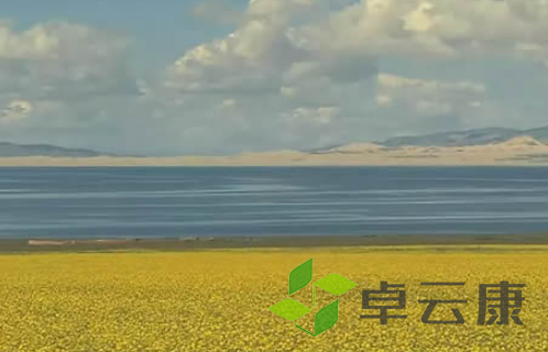QQ截图20230325161123