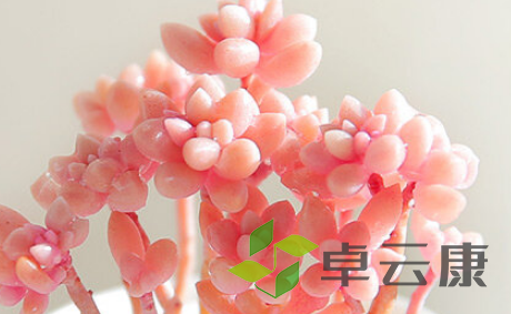 QQ截图20230326143457