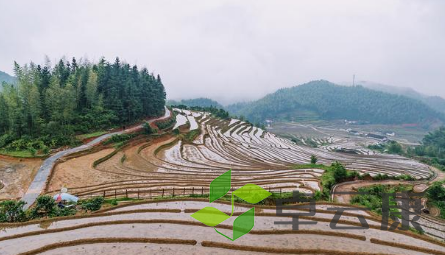 QQ截图20230327102206