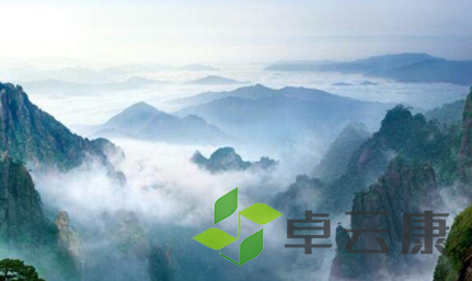 QQ截图20230327104934