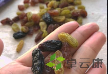 葡萄