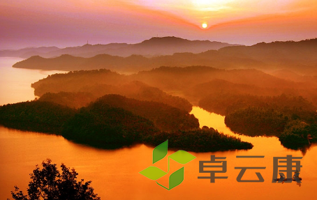 QQ截图20230328155238