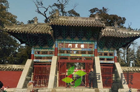 QQ截图20230328161940