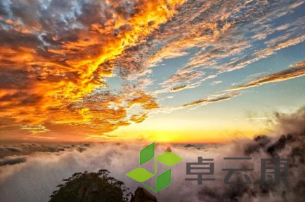 QQ截图20230328163214