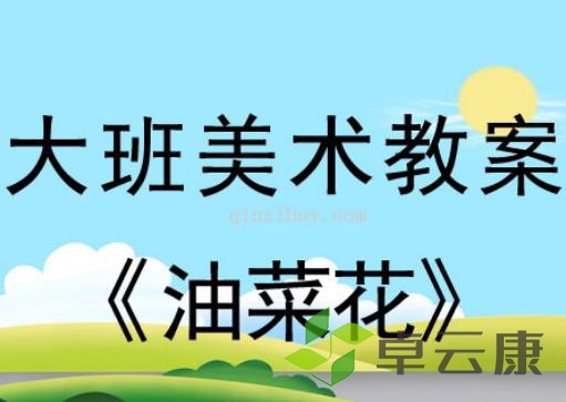 活动目标：