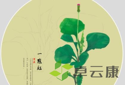 生活中，一