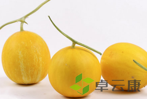 QQ截图20230329160523