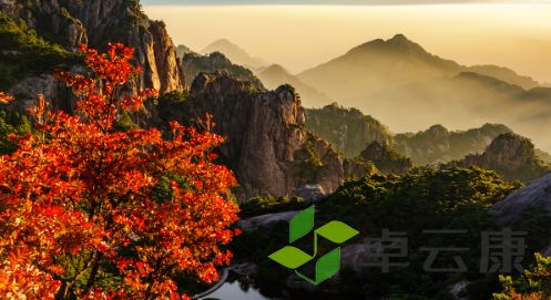 QQ截图20230329162140