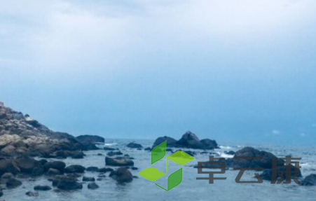 QQ截图20230330134756