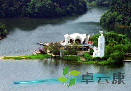 QQ截图20230330135328