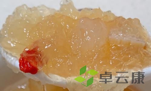 燕窝