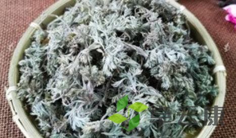 茵陈