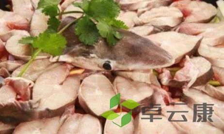 鲨鱼肉