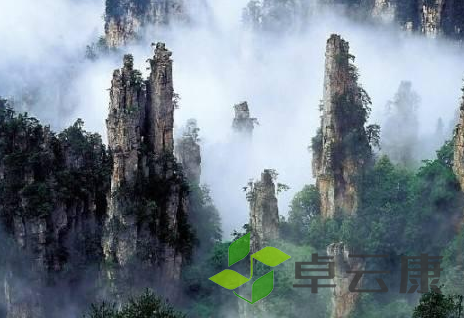QQ截图20230330163129