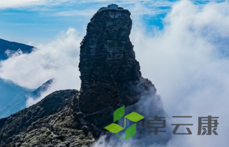 QQ截图20230330163529