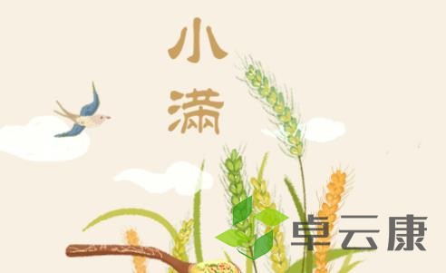 小满
