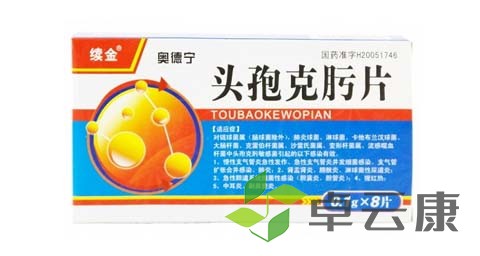 未标题-1
