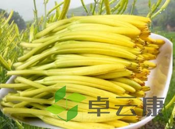 黄花菜